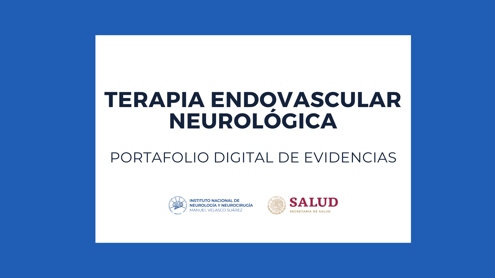 PORTAFOLIOS: SUBESPECIALIDAD EN TERAPIA ENDOVASCULAR