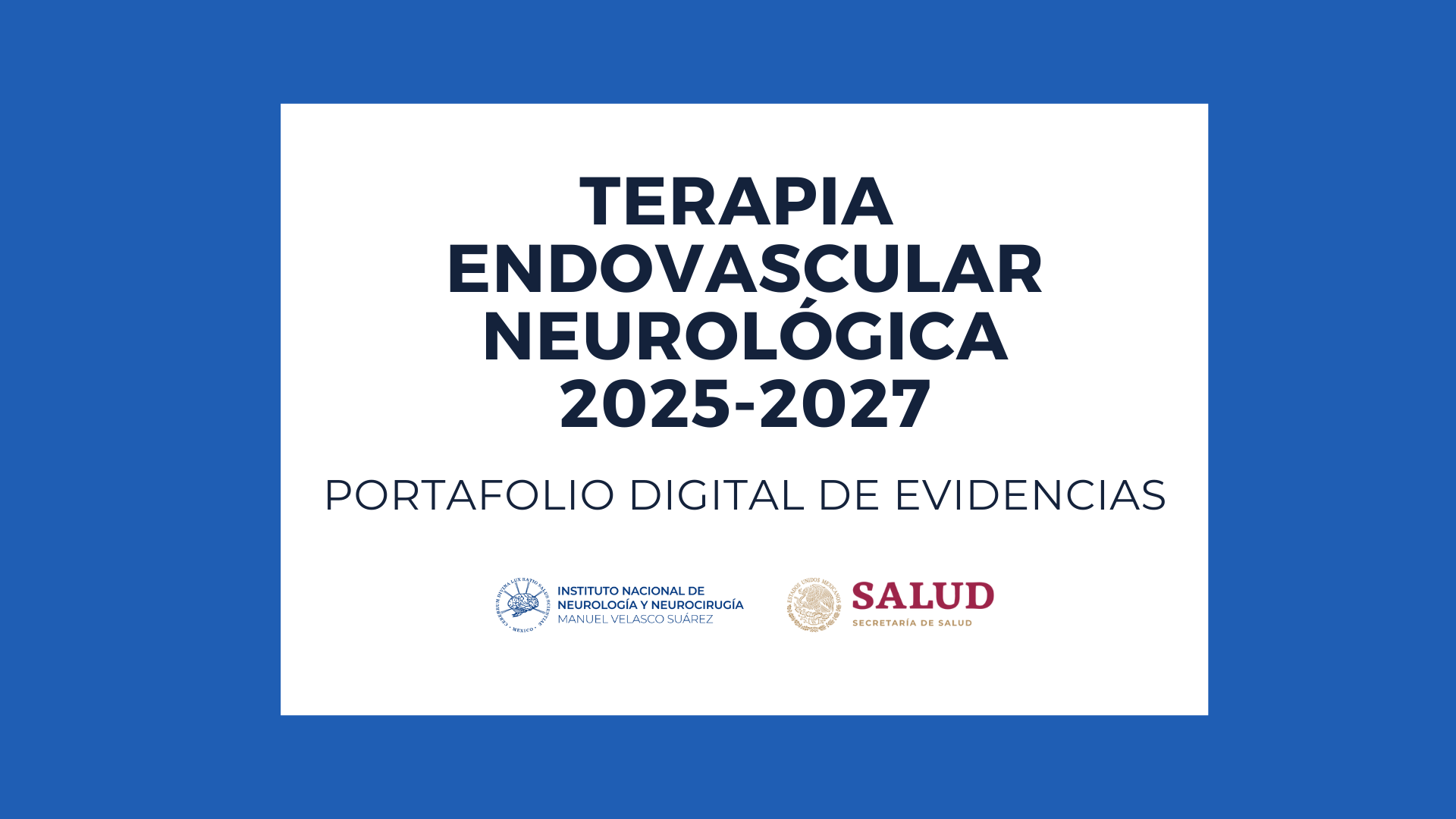 PORTAFOLIO DE EVIDENCIAS GENERACIÓN TERAPIA ENDOVASCULAR 2025-2027