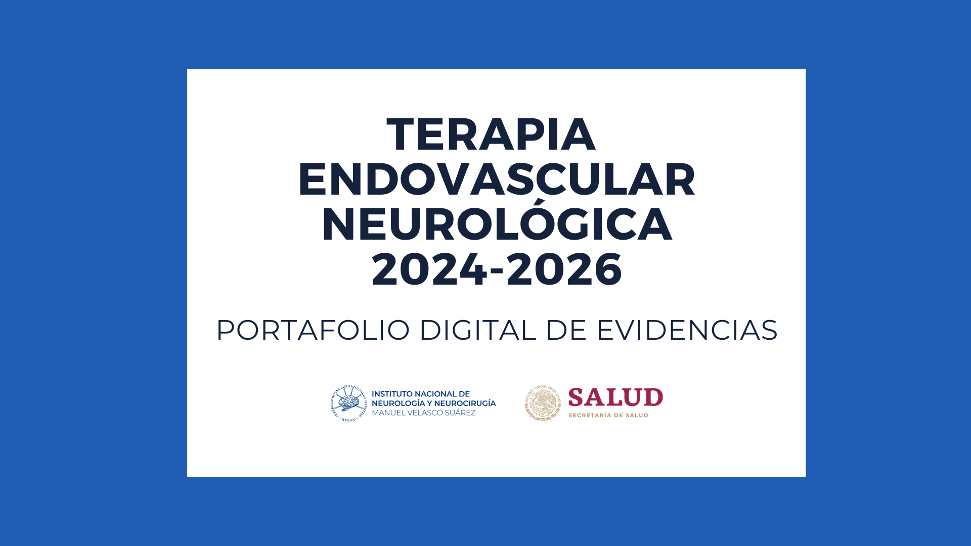 PORTAFOLIO DE EVIDENCIAS GENERACIÓN TERAPIA ENDOVASCULAR 2024-2026
